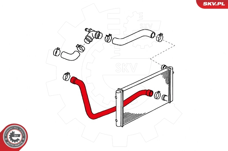 Radiator Hose